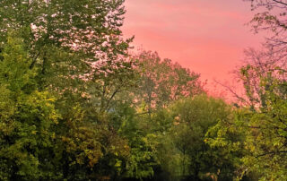 Patsie McCandless Light Lessons: Finding a World of Autumn Lights