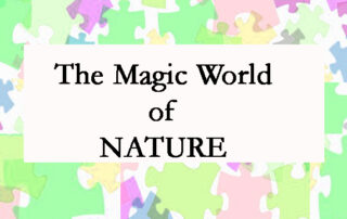 The Magic World of Nature - Light Lessons with Patsie McCandless
